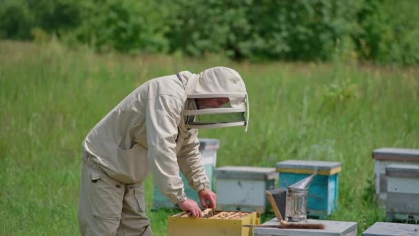 Beekeeper Protective Suit Summer Apiary Beehive Farming — Stock Video