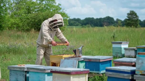 Summer Apiary Beehive Farming Beekeeper Protective Suit — Stock Video