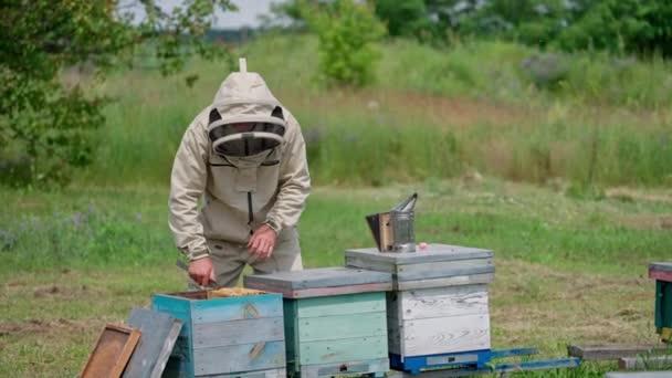 Άντρας Προστατευτική Στολή Μελισσοκομίας Έννοια Προστασίας Μελισσοκόμων — Αρχείο Βίντεο