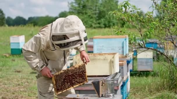 Фермер Держит Раму Руках Пчеловод Держит Пчелиный Улей — стоковое видео