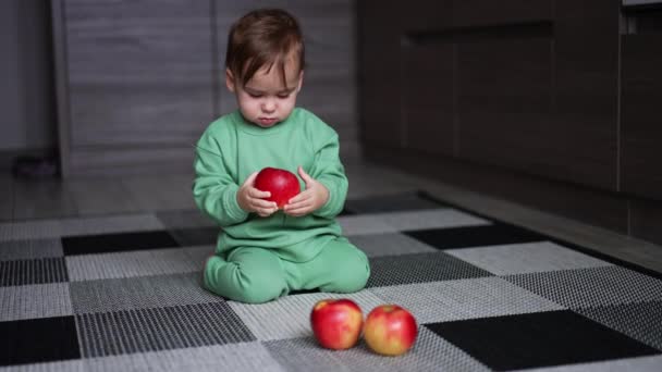 Rapazinho Engraçado Pequena Criança Bonito Jogo Indoor — Vídeo de Stock