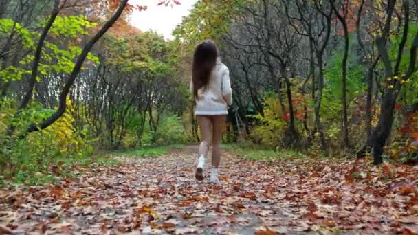 秋の公園の屋外遊び心のある若い女性 スタイリッシュな美しい女性のライフスタイル — ストック動画