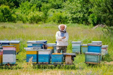 Arı yetiştiricisi kovanlarının arasında sahada duruyor..