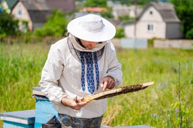 Arıcı apiary üzerinde arı lar ve arı kovanları ile çalışıyor. Arıcılık kavramı.