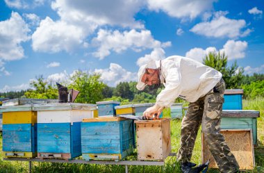 Arı yetiştiricisi arılarla ve arı kovanlarıyla çalışıyor..