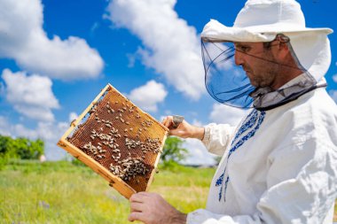 Beekeeper is working with bees and beehives on the apiary. clipart