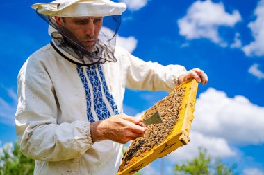 Arı yetiştiricisi arılarla ve arı kovanlarıyla çalışıyor..