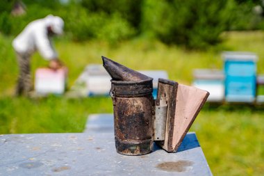Arı yetiştiricisi arılarla ve arı kovanlarıyla çalışıyor..