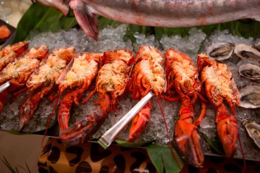 Istakoz ve istiridye, deniz ürünleri restoranında buzda..