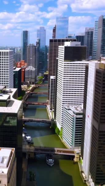 シカゴ川には複数の橋があり ヨットが沿って航行している 美しい建物の間の水路上のドローン映像 バーティカルビデオ — ストック動画