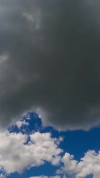 青い空に輝く白い雲が輝いています 晴れた日の映像 ローアングルビュー タイムラプス バーティカルビデオ — ストック動画
