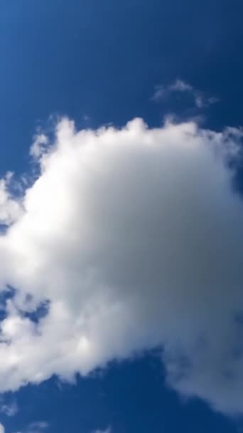 ふわふわした白い雲に明るく輝く太陽 空に柔らかい雲が建っている素晴らしいタイムラプス バーティカルビデオ — ストック動画