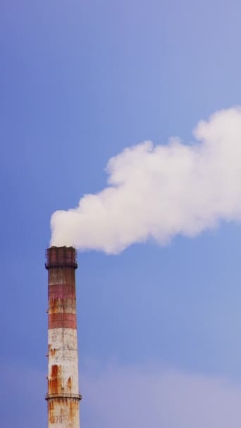 工业区管道制造白色浓烟 污染环境的工厂的管道 低角度视图 垂直录像 — 图库视频影像