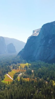 Çam ağaçlarıyla kaplı yeşil vadinin üzerinde uçuyordu. Yosemite Ulusal Parkı, ABD 'de kayaların güneşli manzarası. Üst Manzara. Dikey video.