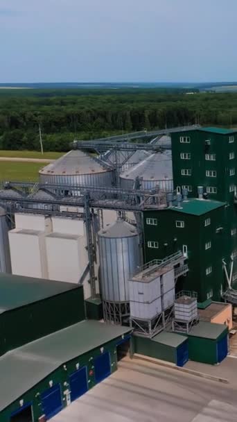 在农机厂的巨大的筒仓外面 钢罐的粮仓复杂的自然背景 垂直录像 — 图库视频影像