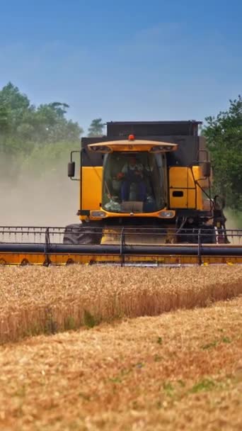 Jovem Combinadora Trabalhando Uma Moderna Máquina Colheita Amarela Equipamento Agrícola — Vídeo de Stock