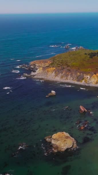 Rocky Beach Covered Moss Lichen Few Bushes Amazing Coastline Pacific — Stock Video