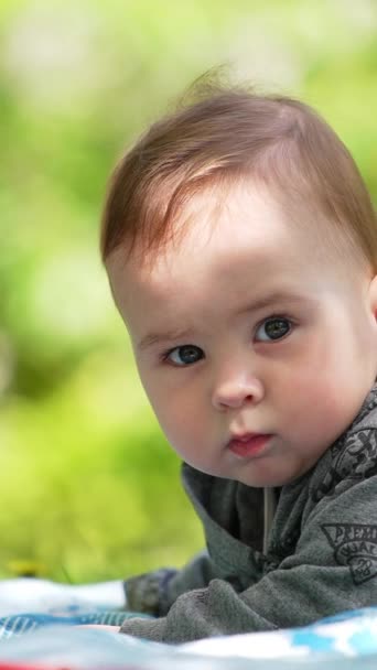 Uroczy Chłopczyk Szarej Bluzie Leży Brzuchu Słodki Dzieciak Odpoczywa Dworze — Wideo stockowe