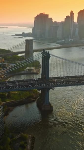 Manhattan Brooklyn Bridges East River Silhouetten Van New Yorkse Wolkenkrabbers — Stockvideo