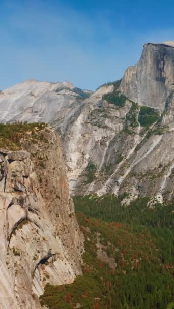 松の木の森の上に立っている灰色の岩 カリフォルニア州のヨセミテ国立公園は晴れた日 バーティカルビデオ — ストック動画