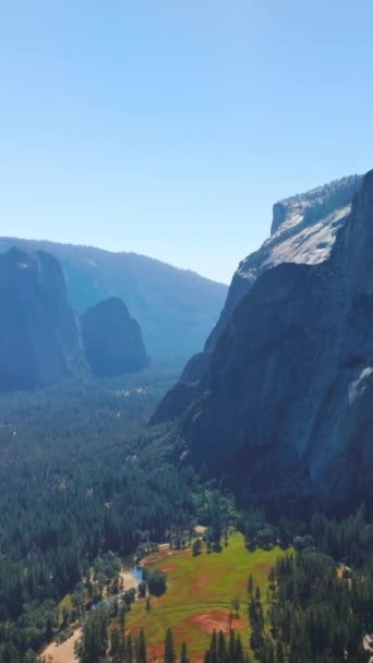 Pineta Illuminata Dal Sole Circondata Rocce Potenti Parco Nazionale Yosemite — Video Stock