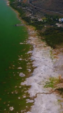 Mono Gölü 'nün güzel manzarası, Kaliforniya, Birleşik Devletler. Rıhtımda yeşil çimlerle kaplı beyaz tuzlu iskorbüt ve sonra da dağ. Dikey video.