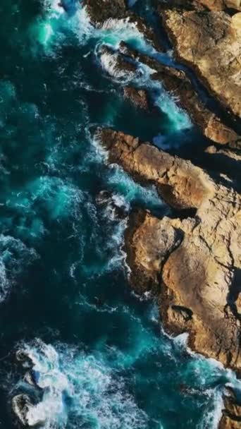 Brązowe Twarde Skały Pokryte Fioletową Porostem Wybrzeżu Białe Fale Rozpryskują — Wideo stockowe