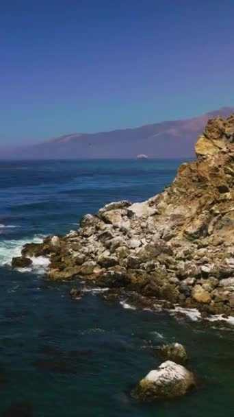 Volando Bajo Sobre Agua Azul Del Océano Pacífico Algas Flotando — Vídeo de stock
