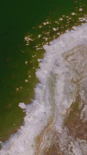 Ξηρή Αλμυρή Ακτή Χωρίς Βλάστηση Της Λίμνης Mono Καλιφόρνια Ηπα — Αρχείο Βίντεο