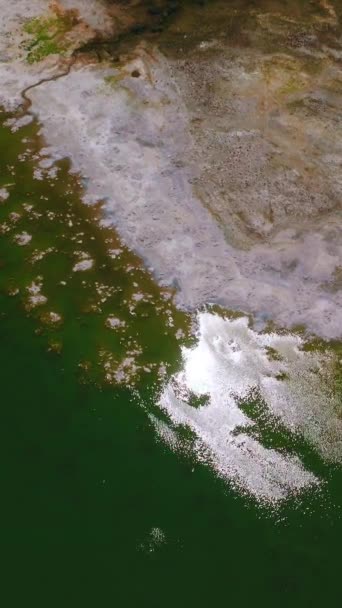 Eau Verte Bleue Lac Mono Californie États Unis Rivage Lac — Video