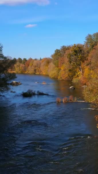 森の中の流れる川の素晴らしい写真です 晴れた秋の日にはカラフルな木 空想的な自然観 バーティカルビデオ — ストック動画