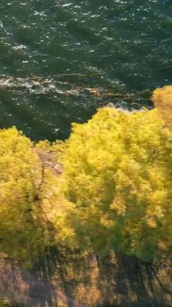 Κίτρινα Δέντρα Μπροστά Στη Θάλασσα Στολισμένα Από Λαμπερά Κύματα Του — Αρχείο Βίντεο
