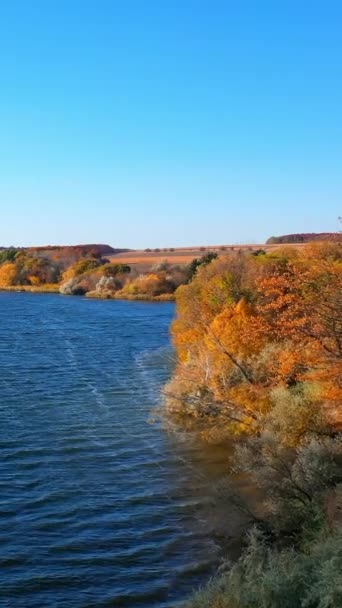 ダークブルーの川とカラフルな銀行の素晴らしい景色 ダークウォーターのリップル表面 広い川と秋の森を一望する バーティカルビデオ — ストック動画