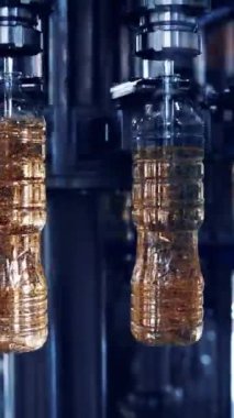 Rafine ayçiçeği yağı üretim hattı. Fabrika üretim ve rafine yağ dolumu ayçiçeği tohumları Dikey video.