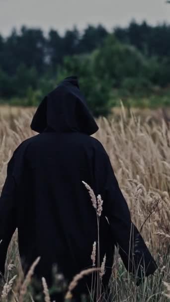 Een Geest Die Ronddwaalt Natuur Hooded Spookachtige Figuur Het Platteland — Stockvideo