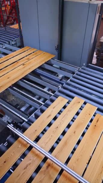 Εργοστάσιο Παραγωγής Ξύλινων Δαπέδων Επαγγελματικά Ξύλινο Δάπεδο Κατά Διαδικασία Παραγωγής — Αρχείο Βίντεο