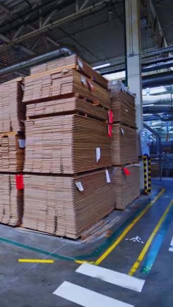 Warehouse Variety Timber Modern Production Storage Room Lumber Produced Vertical — Stock Video
