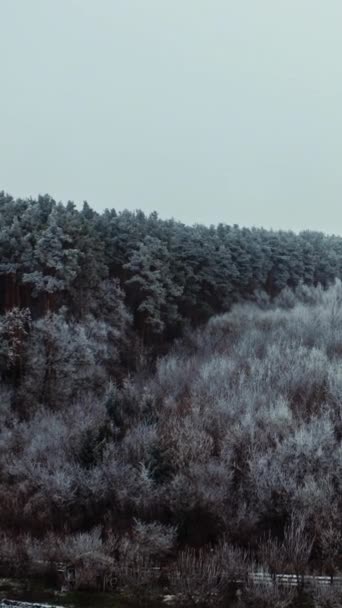 Foresta Invernale Gelo Duro Veduta Aerea Dei Boschi Invernali Durante — Video Stock