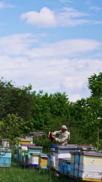 庭の田舎の木の蜂の農場 特別な制服を着た男が アカリヤで働いてる バックドロップで曇った空 バーティカルビデオ — ストック動画