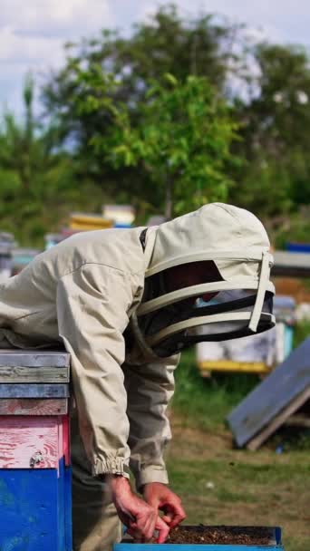 Mannelijke Bijenhouder Met Beschermend Uniform Hoed Werkend Bijenhouderij Man Controleert — Stockvideo