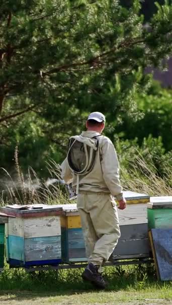 男性の養蜂家は農村部の農村部の木製の巣に沿って歩いています 自然の背景にあるミツバチ農場での夏の仕事 バーティカルビデオ — ストック動画