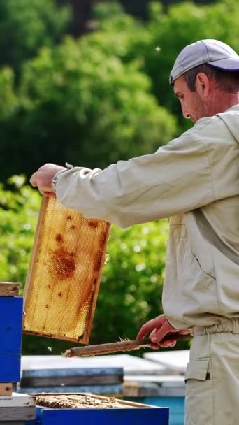 身穿制服的养蜂人站在养蜂场 用刷子刷掉框架上的蜜蜂 很多蜜蜂飞来飞去 自然背景 垂直录像 — 图库视频影像