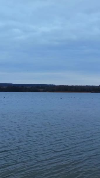 湖に浮かぶアヒルの小さな黒いシルエット 灰色の川の表面にある鳥の群れ グレイスカイバック バーティカルビデオ — ストック動画