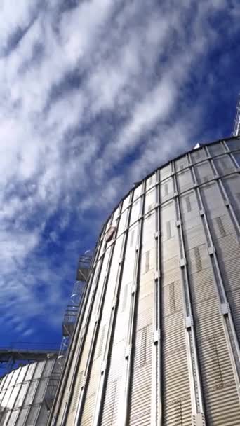 Lift Grain Lumbung Baja Besar Untuk Pengolahan Produk Pertanian Hangar — Stok Video