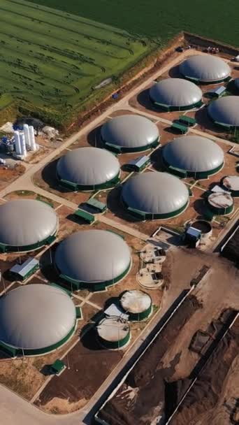 生产最新沼气的圆罐 绿色能源的强大工厂的头像 背景上的农场 垂直录像 — 图库视频影像