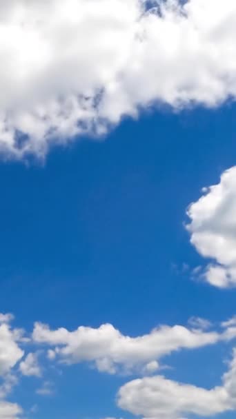 明るい夏の空に綿の雲を造る 大きな雲の中に蓄積する小さな雲 タイムラプス バーティカルビデオ — ストック動画