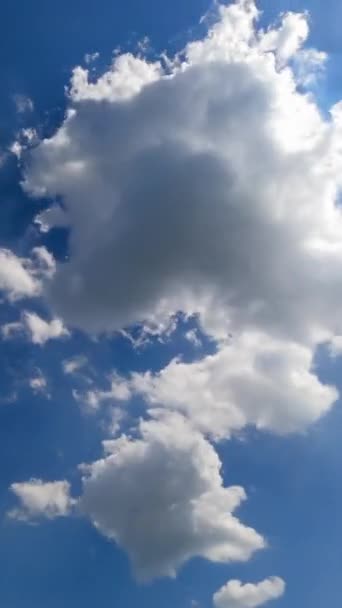 夏の太陽の明るい光で変化する美しい柔らかい雲 低い角度ビューのタイムラプス バーティカルビデオ — ストック動画