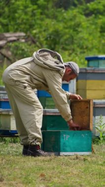Apiarist arıdaki bal peteği çerçevelerini inceliyor. Erkek arıcı çerçevedeki böceklerden kurtuluyor. Arka planda yeşil ağaçlar. Dikey video.