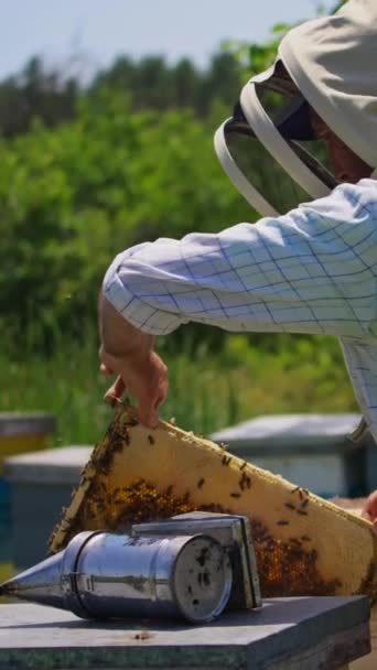 ハチミツのコムフレームをハチの手から引き出します ビーキーパーはその上にミツバチでいっぱいの重いフレームを見ています 自然の背景に対する疑問 バーティカルビデオ — ストック動画