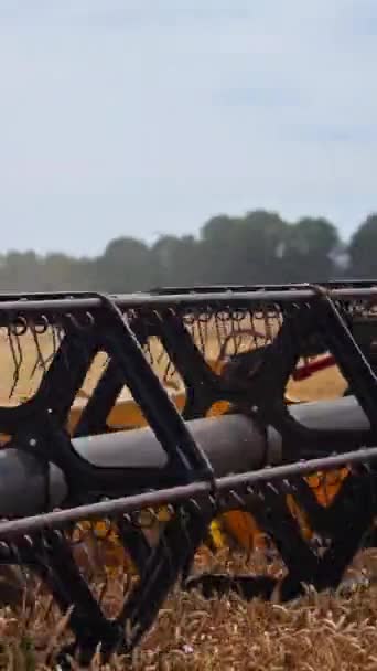Величезний Косарний Механізм Перерізає Пшеницю Прибирання Ножиць Роботі Хмара Пилу — стокове відео